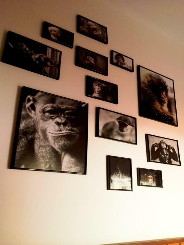 The Mellow Monkey Hostel Zadar Eksteriør billede